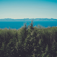 cc攻击免费网页版